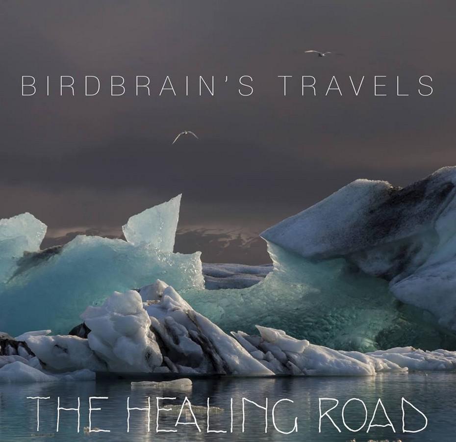The Healing Road: Birdbrain's Travels