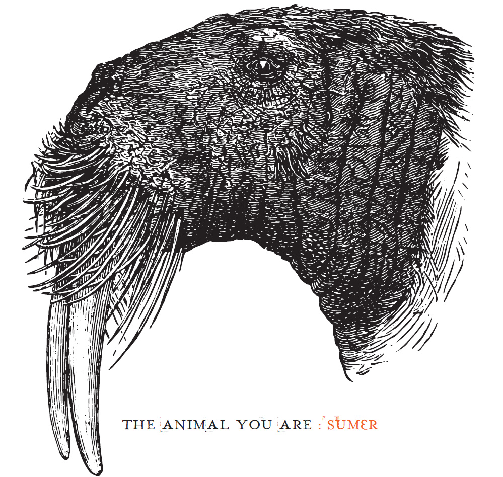 Sumer: The Animal You Are