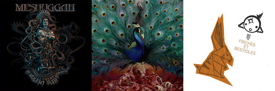 Meshuggah/Opeth/Neurococcyx