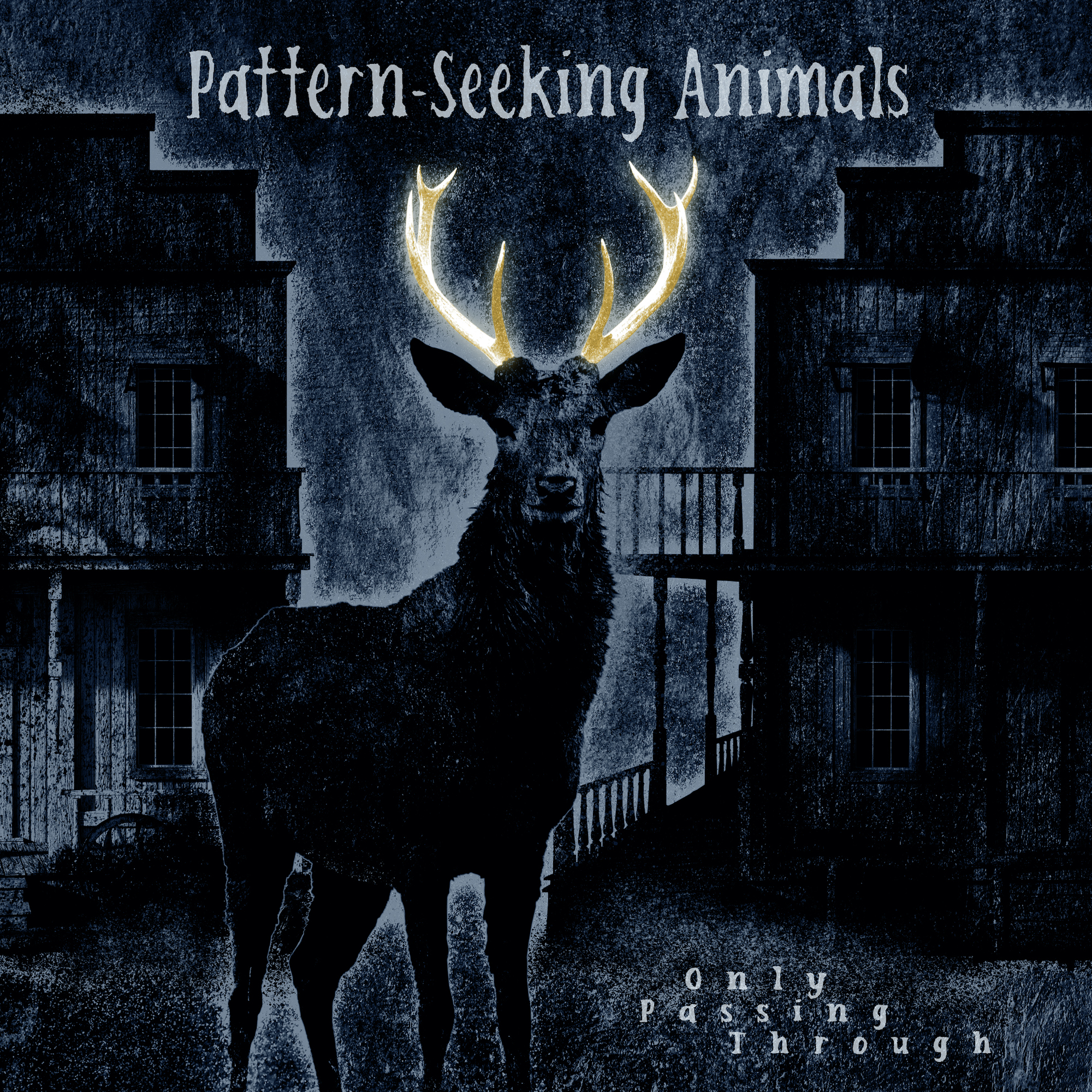 Pattern-Seeking Animals: Only Passing Through
