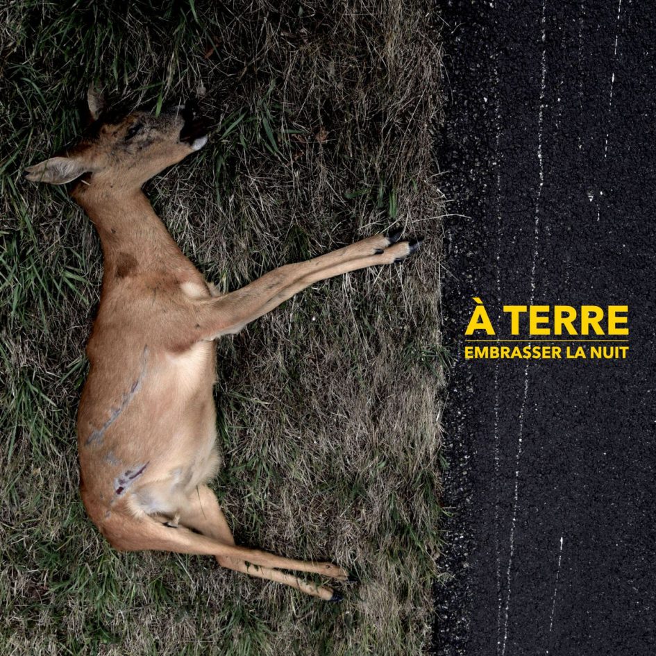 À Terre: Embrasser la nuit