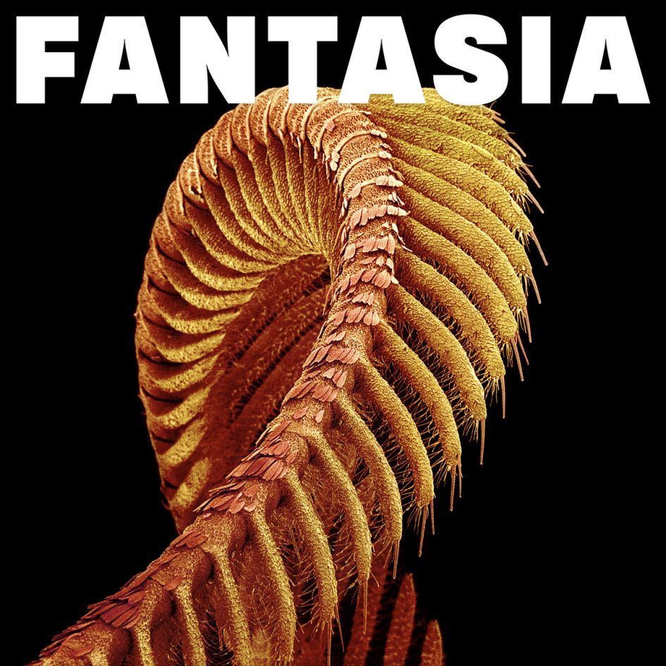 Slift: Fantasia